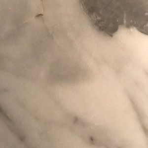 Meet your Posher, Robb